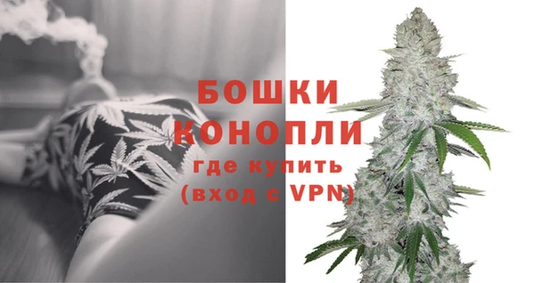 прущие грибы Волосово