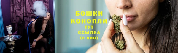 прущие грибы Волосово