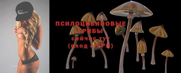ALPHA-PVP Володарск