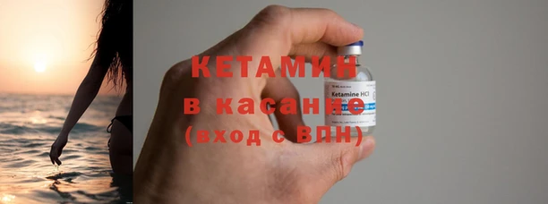 прущие грибы Волосово