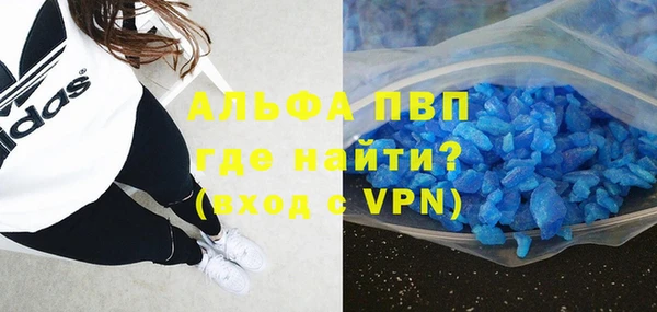 прущие грибы Волосово