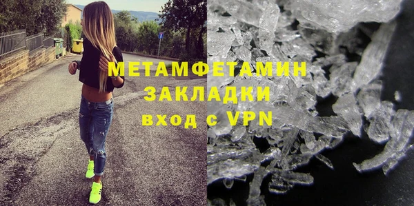 прущие грибы Волосово