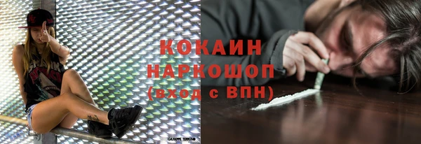 прущие грибы Волосово