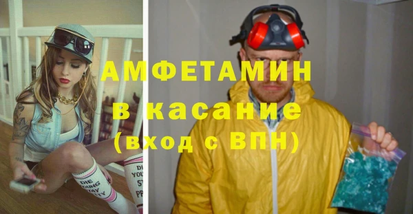 прущие грибы Волосово