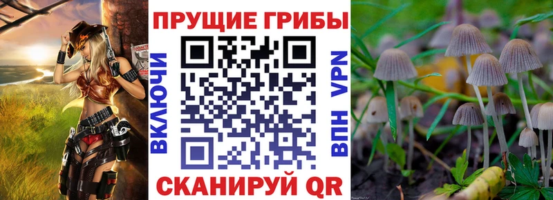 магазин    omg рабочий сайт  маркетплейс состав  Таганрог  Псилоцибиновые грибы MAGIC MUSHROOMS 